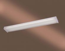 Minka-Lavery 1011-44-PL - 2 Light Utility Flush Mount