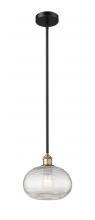 Innovations Lighting 616-1S-BAB-G555-10CL - Ithaca - 1 Light - 10 inch - Black Antique Brass - Cord hung - Mini Pendant