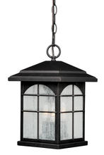 Vaxcel International T0077 - Bembridge 9" Outdoor Pendant