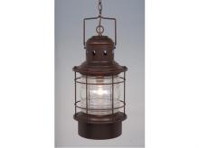 Vaxcel International OD37006BBZ - Hyannis 10-in Outdoor Pendant Burnished Bronze