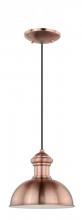 Vaxcel International T0151 - Franklin 10" Outdoor Pendant