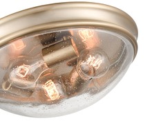 Millennium 5229-MG - Flushmount Lighting