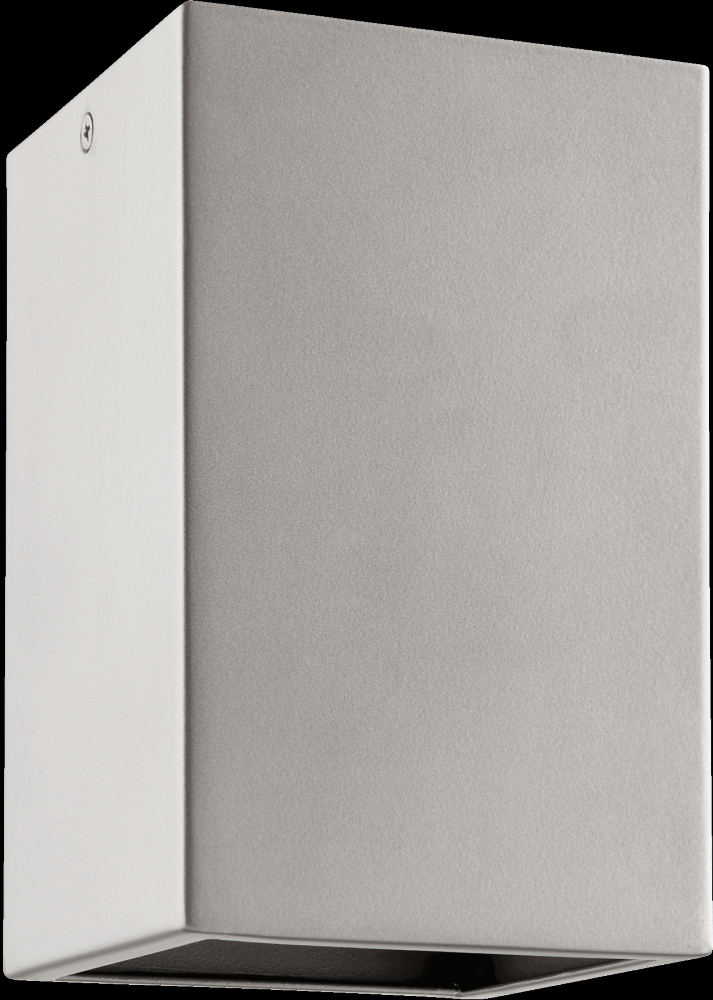 ION 1LT CEILING MT - GT